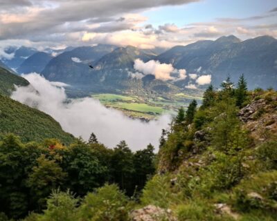 546609675_18294383431264950_3075414053210179292_n